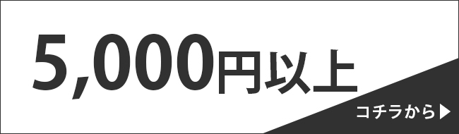5,000円以上