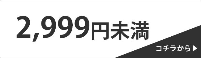 2,999円未満